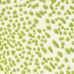 Amaco CR-41 Lime