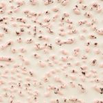 Amaco CR-51 Speckled Pink