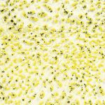 Amaco CR-61 Speckled Yellow